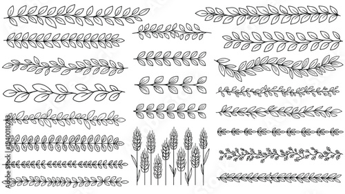 Extensive set of hand-drawn botanical borders featuring various leaf vines, branches, and wheat stalks in black line art.