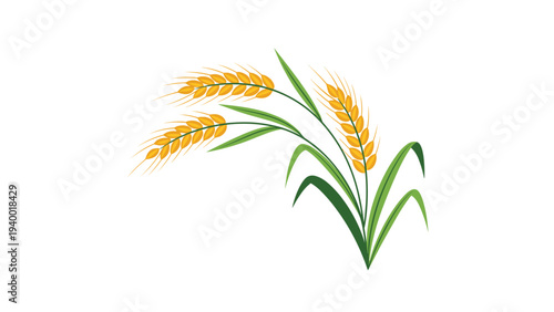 Golden ears of wheat with green leaves on a white background symbolising harvest and sustainable agriculture.