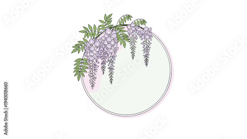 Wisteria branches with purple flowers hanging over a light green circular frame on a white background border.