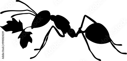 Ant Insect Silhouette Side View