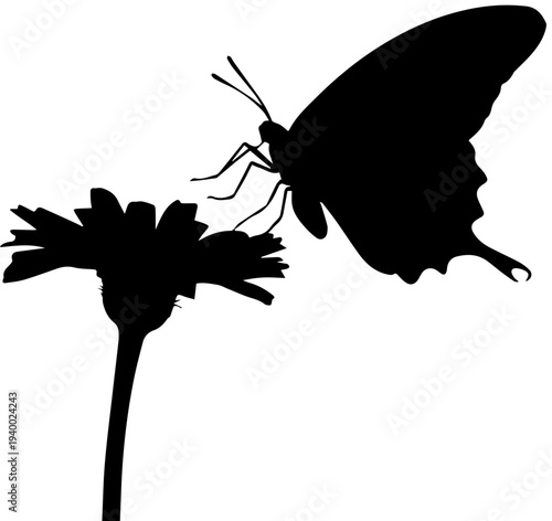 Butterfly Sitting on Flower Silhouette