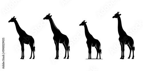 Giraffe Silhouette Vector Set and African Wildlife Illustration