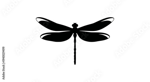 Single Silver Whisk Ready for Use in Any Kitchen for Baking, Cooking, and Food Prep