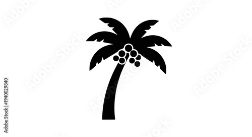 Single clean whisk, an essential kitchen utensil for preparing batters, sauces, and whipping cream