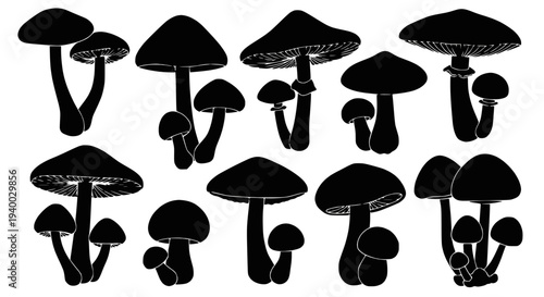 New stainless steel whisk with a black handle, a versatile kitchen gadget for beating and mixing ingredients