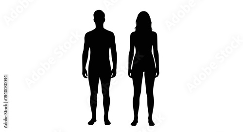 A Single Silver Whisk on a Clean White Surface, Representing Simplicity and Culinary Precision