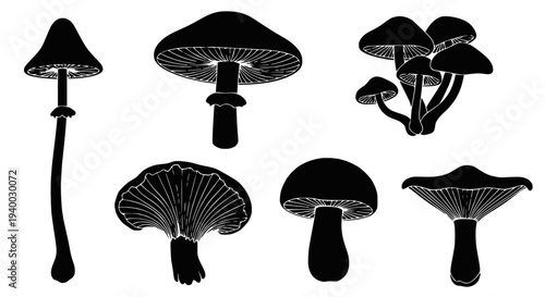 A bright, clean vector image of a kitchen whisk, ideal for food websites, recipe design, and culinary graphics.