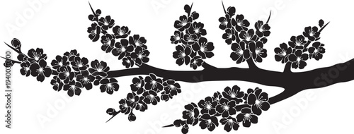 Silhouette of a blooming tree branch with flowers isolated