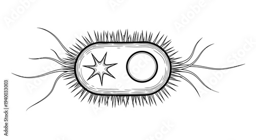 Detailed black and white illustration of a bacterium with flagella and internal structures.