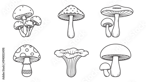 Mushrooms cartoon drawing set with various shapes and dotted patterns on caps for design elements featuring mushroom, fungi, outline with black and