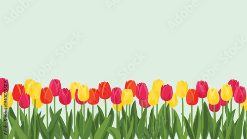 Vibrant field of colorful red, orange, pink, and yellow tulips with green leaves growing on a light mint green background.