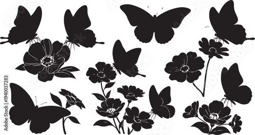 Black Butterfly and Flower Silhouettes on White Background Illustration