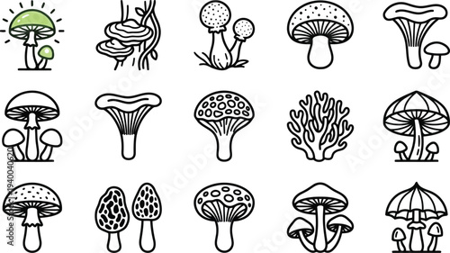 A Collection of Various Artistic Mushroom Icons Representing Different Fungal Species Isolated on Transparent Background