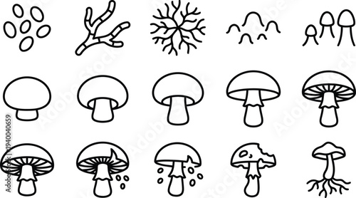 Simple line drawings of various mushrooms and fungal elements in different stages of growth and development