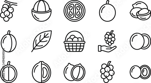 Collection of stylized fruit and botanical icons including grapes mangosteen tomato slice berries and macadamia nuts