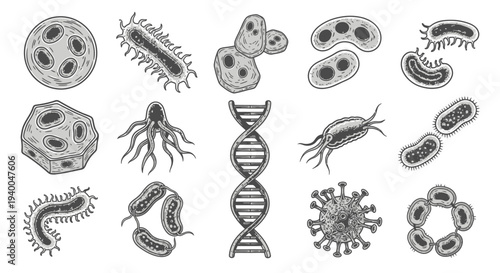 Various microorganisms and a DNA double helix illustration.