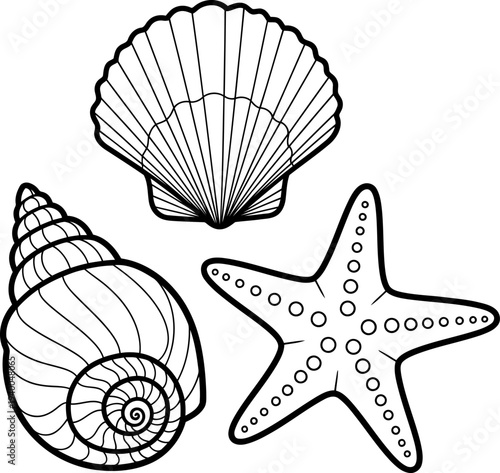 Sea shell and starfish coloring page for kids with ocean creatures