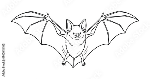 Vector of a bat with spread wings and features flying gracefully in mid-air