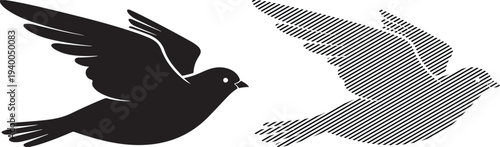 Black and White Doves Flying in Opposite Directions Isolated on White Background