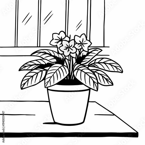 Indoor plant svg transparent file