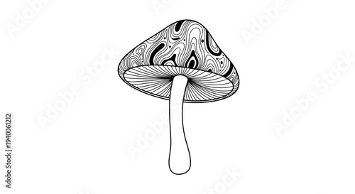 Black and white line art illustration of wild mushroom with intricate swirling patterns on its cap and simple stem on white background.