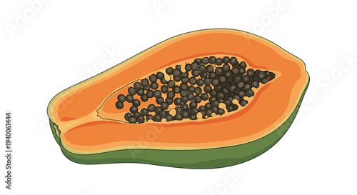 Slice of fresh ripe papaya fruit with many small black seeds in center and green skin against clean white background.