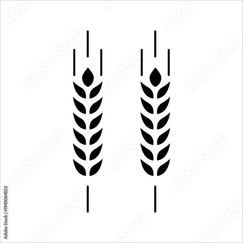 Wheat Ears Icons vector illustration. wheat leaf clipart. Organic wheat icon, bread agriculture. Grains plants and cereal, rye barley and wheat ear spikes. Bakery food concept. cereal plant isolated.