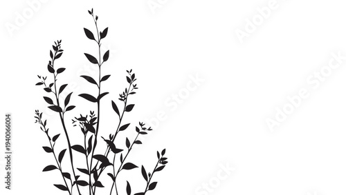 Silhouette of delicate branches with small leaves and buds against a stark white background, creating an organic and minimalist design.