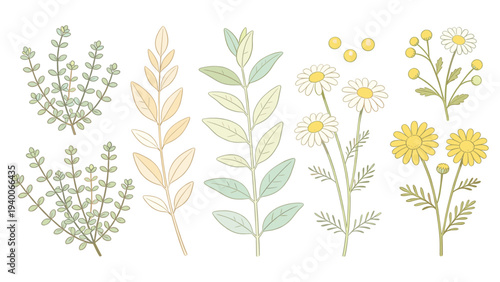 Bushes, Flowers, and Foliage in Detailed Illustrations