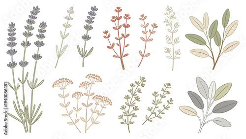 12 Watercolor Illustrations of Earthy Muted Florals, Foliage, and Plants in Soft Natural Palette
