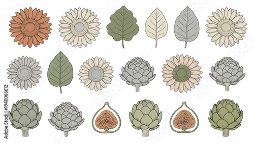 Set of 18 Stylized Botanical Illustrations Featuring Flowers, Leaves, and Fruits in Modern Flat Graphic Composition with Clean Lines and Minimal Detail