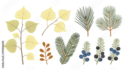 Horizontal row of nine botanical illustrations showcasing stems with leaves, pine needles, and berries in bold lines and vibrant colors