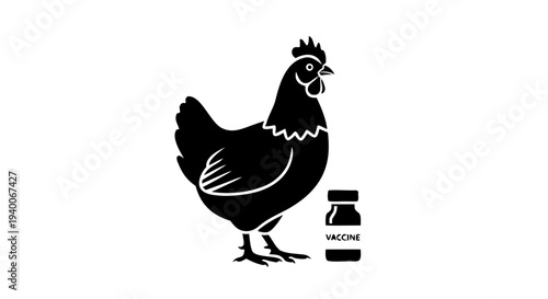 Cartoon vector illustration of a rooster and hen on a white background, featuring a stylized farm poultry bird with detailed feathers, beak, and a silhouette design for agricultural art