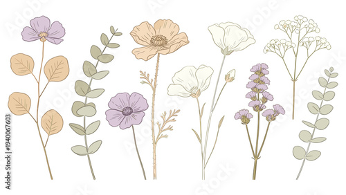 Botanical Floral Species Set Element Minimalist Hand-Drawn Illustrations with Soft Hues and Delicate Leaves