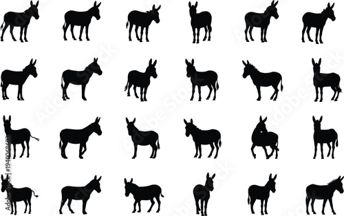 Collection of donkey silhouettes in different standing poses, farm animal black vector set isolated on white background for agriculture, livestock, rural design