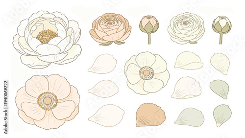 Botanical Floral Elements Set – Digital Illustration of Diverse Flowers and Petals Arranged in Multi-Row Composition with Line-Art Stylized Stems and Vibrant Color Contrast for Design Applications