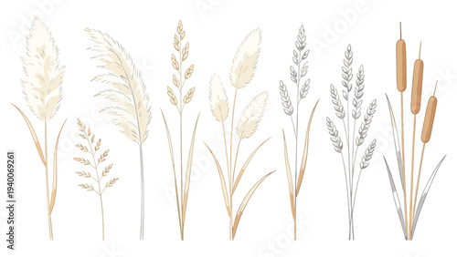 Elegant Horizontal Botanical Arrangement Illustration with Warm Earthy Tones Minimalist Calmed Plant Species