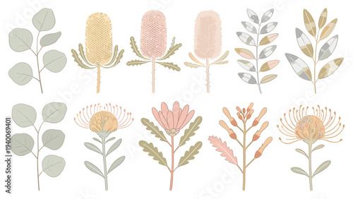 10 Illustrations of Cattails, Leaves, and Flowers in Pastel Hues