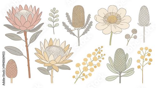 Elegant Arrangement of Botanical Flowers, Plants, Flora, and Greenery in Diverse Styles and Colors for Graphic Design
