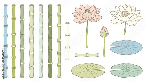 Stylized Illustration of Bamboo Stalks and Water Lilies with Lily Pads in Pastel Hues on White Background from Botanical Set 0519309135.eps