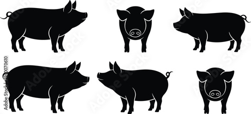 Pig silhouette set with multiple standing poses, farm livestock animal black silhouettes isolated for agriculture design, butcher shop branding, farming graphics and rural illustration