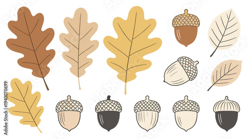 Set element botanical floral species of _0713546453.eps 13 Cartoony Leaf Acorn Illustrations in 3 Rows with Varied Colors and Grid Patterns