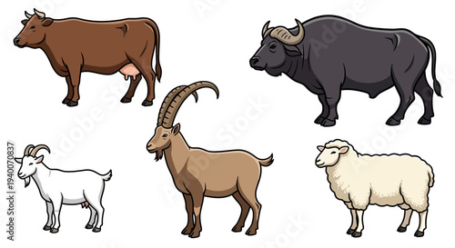 Vibrant vector illustrations of diverse farm animals and wild ungulates cow, buffalo, goat, ibex, sheep