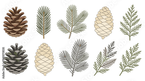 Textured Pinecones and Leaves in Varied Shades of Green, Beige, and Gray on a Flat Lay Illustration
