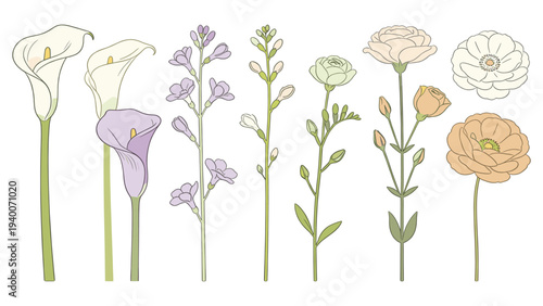 Calla Lily, Rose, Poppy, Buds, Clusters, Stems, Leaves