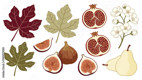 Vibrant botanical composition featuring maple oak lilac leaves fig pomegranate pear arranged in rows