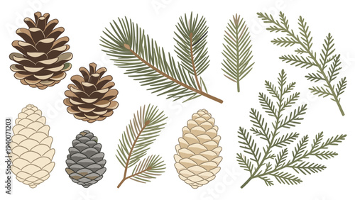 Botanical Elemental Arrangement of Pinecones Needles in Realistic Style with Textured Brown and Green Shades