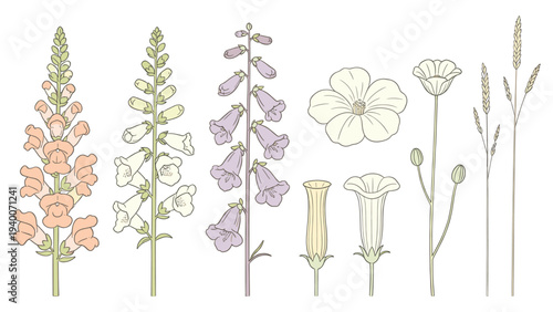 Set element botanical floral species featuring seven distinct colored shaped blooms arranged in horizontal line with orange white purple and feathery elements