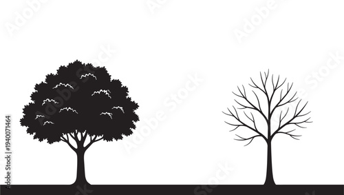 Trees in silhouette, one with full foliage and one bare, against a white background with a dark ground line.