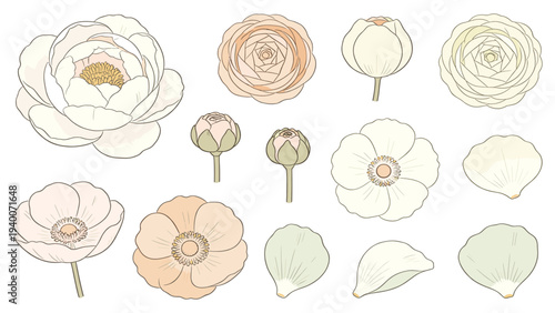 Set of Hand-Drawn Botanical Floral Species Arranged in Minimalist Pastel Style for Decorative Design Elements